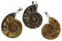 Ammonit Anhänger, Fossil, 3,5 cm, 1 Stück