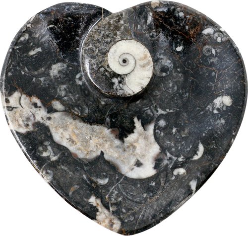 Herzförmige Deko Schale aus Goniatiten-Marmor, Fossil, 11 cm