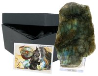 Mineral Sammlerbox Labradorit, anpoliert mit Ständer und Info-Karte