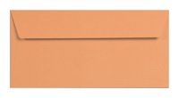 5 Umschläge 120g Kurkuma Orange DL Briefumschlag