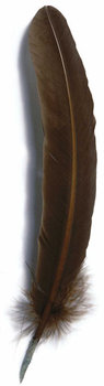 J. Herbin Gänsekiel 28 cm bronze