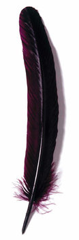 J. Herbin Gänsekiel 28 cm bordeaux
