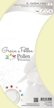5 Umschläge 120g Zitronen Gelb DL Briefumschlag