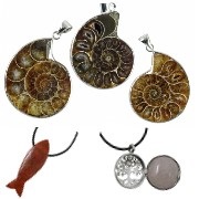 Fossilien & Besonderes